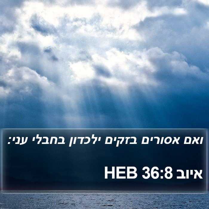 איוב 36:8 HEB Bible Study