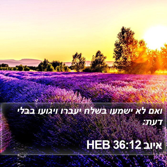 איוב 36:12 HEB Bible Study