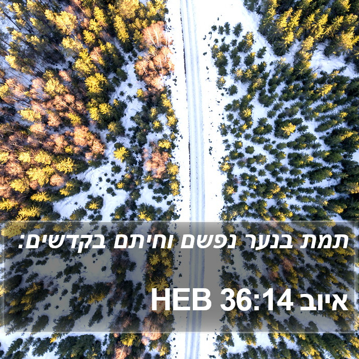 איוב 36:14 HEB Bible Study