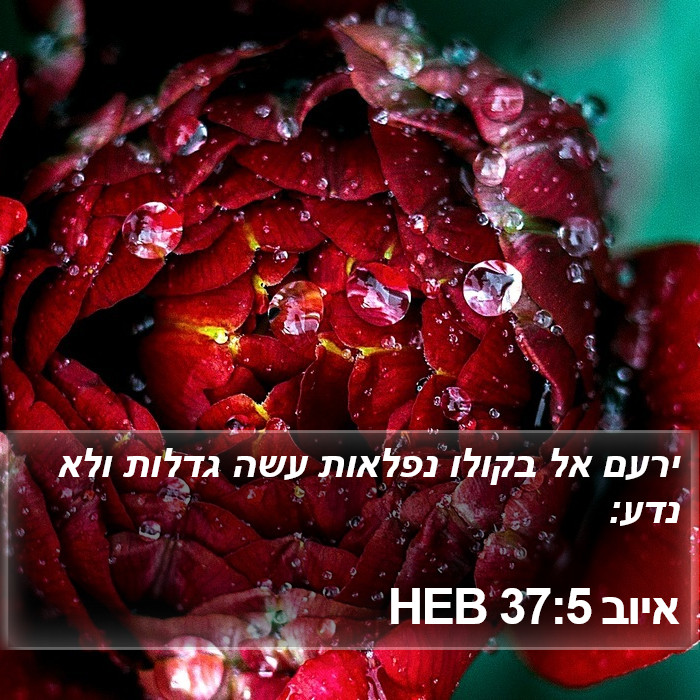 איוב 37:5 HEB Bible Study