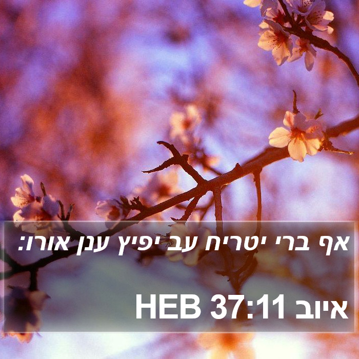 איוב 37:11 HEB Bible Study