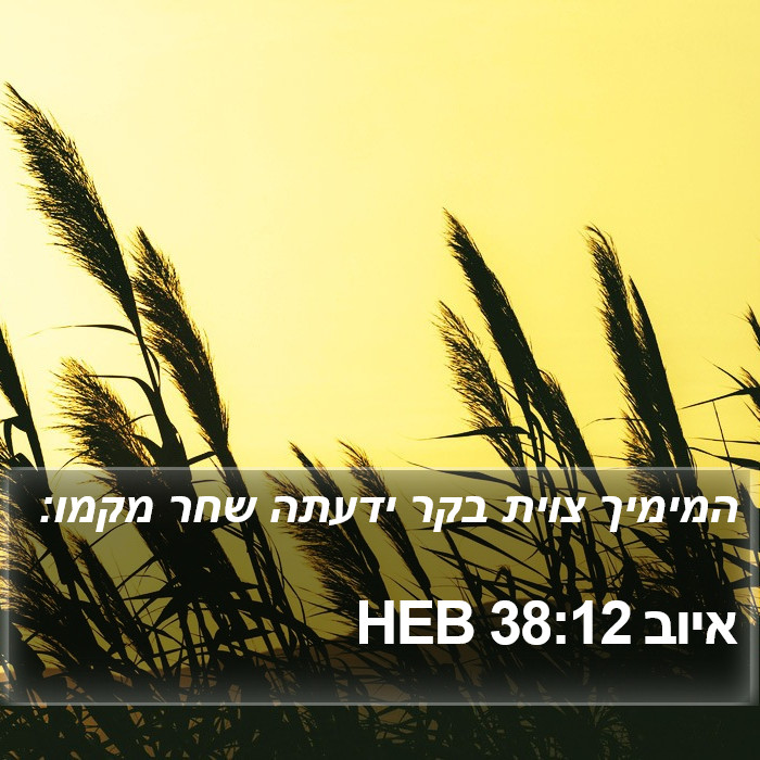 איוב 38:12 HEB Bible Study