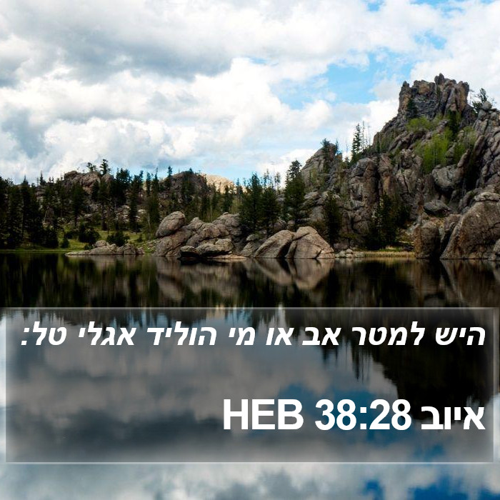 איוב 38:28 HEB Bible Study