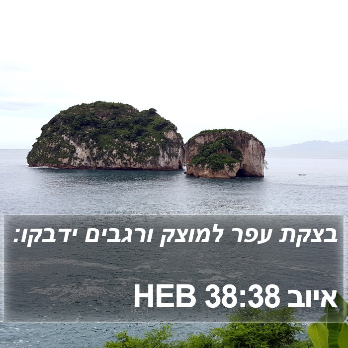 איוב 38:38 HEB Bible Study