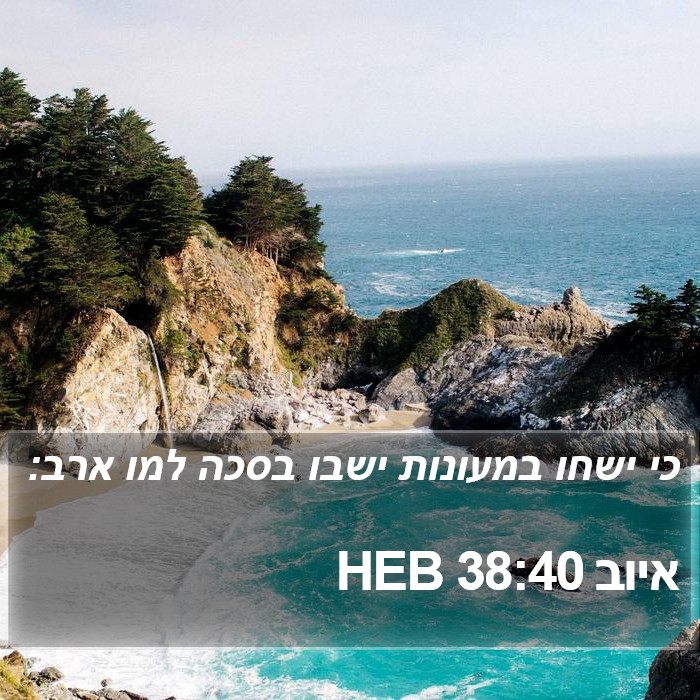 איוב 38:40 HEB Bible Study