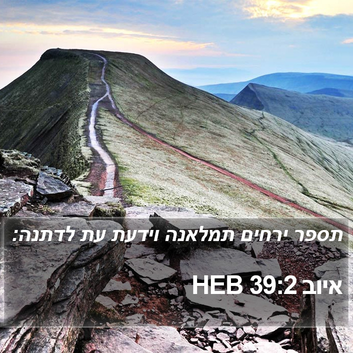 איוב 39:2 HEB Bible Study