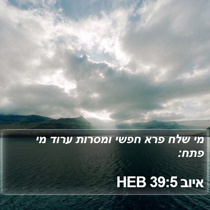 איוב 39:5 HEB Bible Study