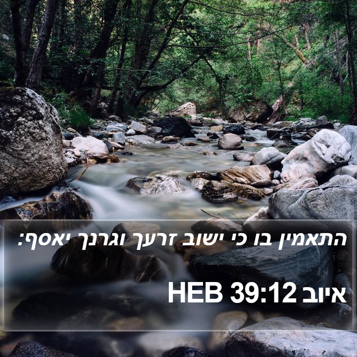 איוב 39:12 HEB Bible Study