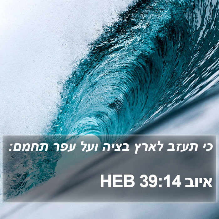 איוב 39:14 HEB Bible Study