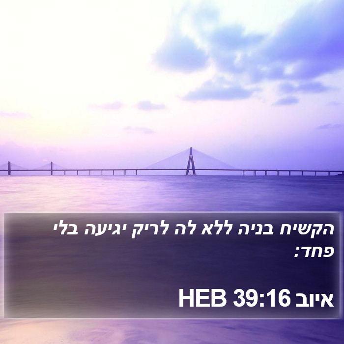 איוב 39:16 HEB Bible Study