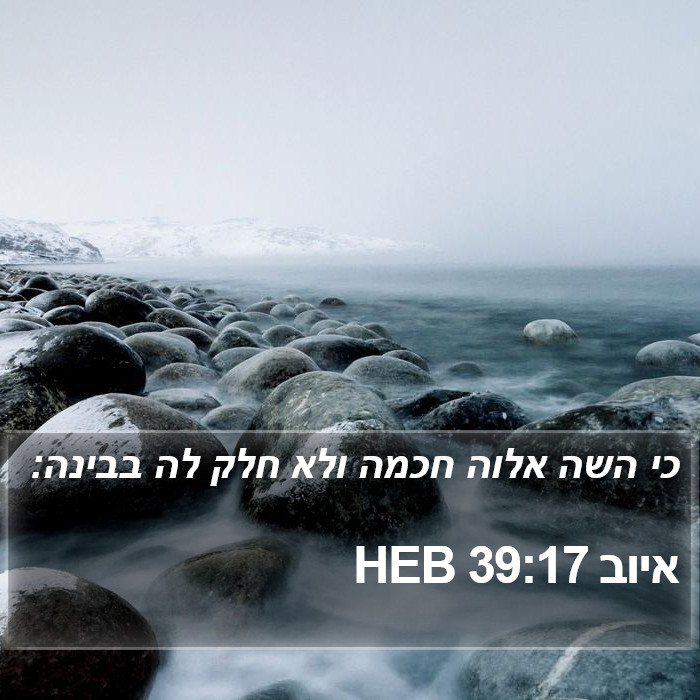 איוב 39:17 HEB Bible Study