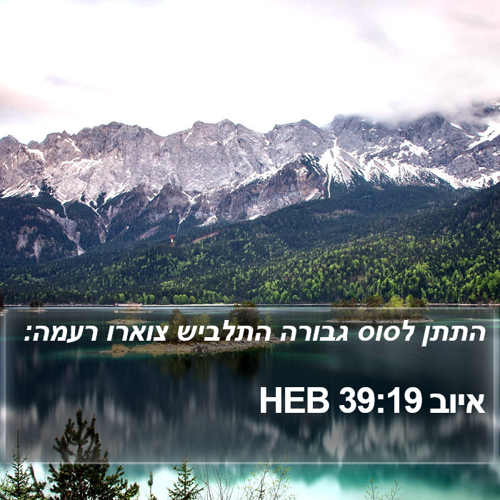 איוב 39:19 HEB Bible Study