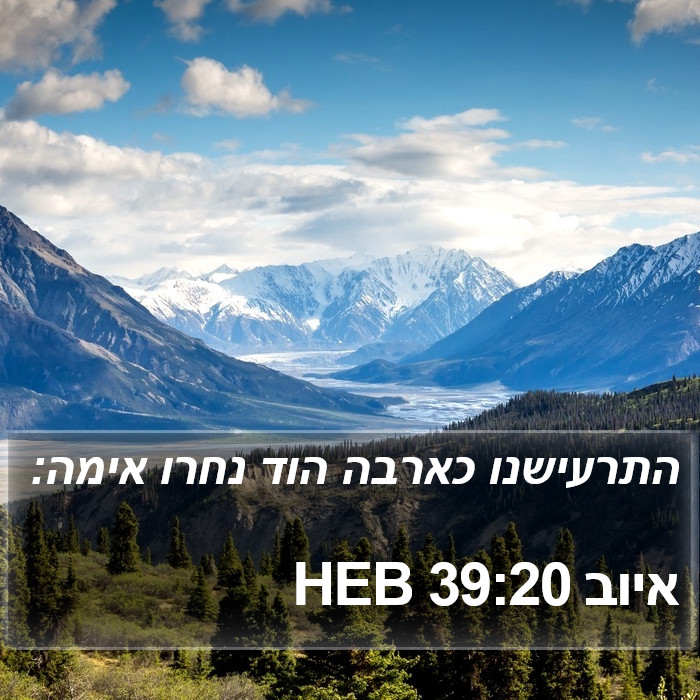 איוב 39:20 HEB Bible Study