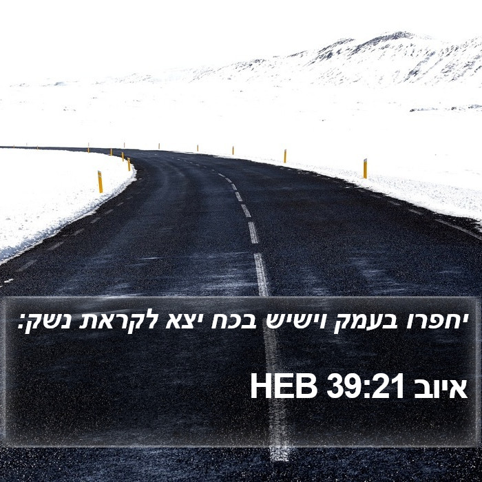 איוב 39:21 HEB Bible Study