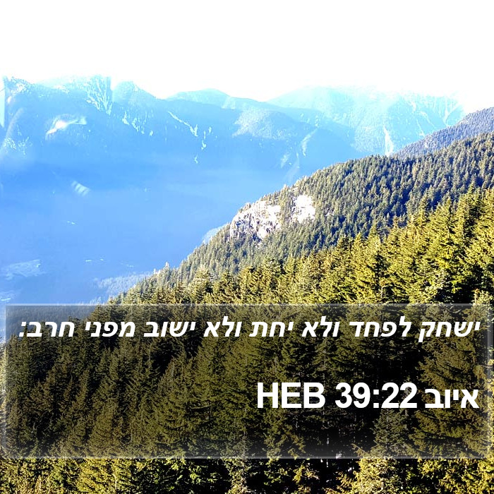 איוב 39:22 HEB Bible Study