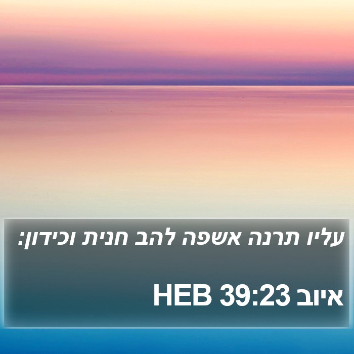 איוב 39:23 HEB Bible Study