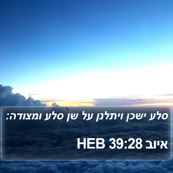 איוב 39:28 HEB Bible Study