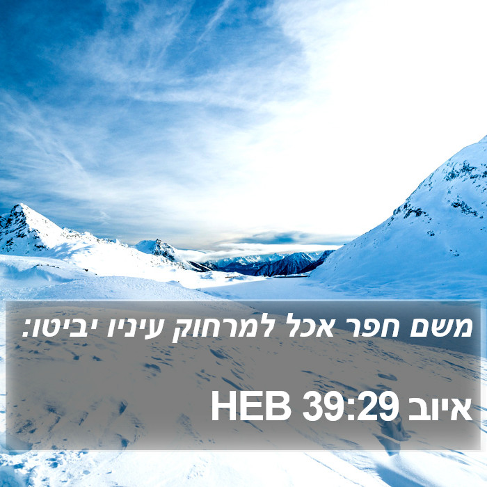 איוב 39:29 HEB Bible Study