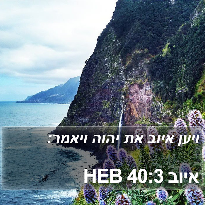 איוב 40:3 HEB Bible Study