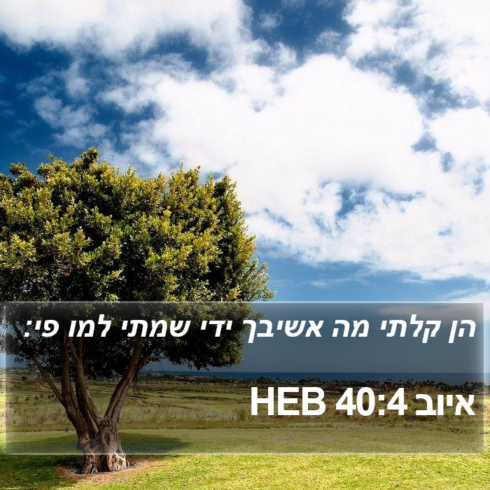 איוב 40:4 HEB Bible Study