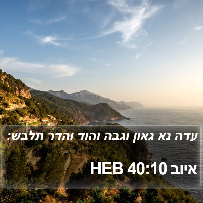 איוב 40:10 HEB Bible Study