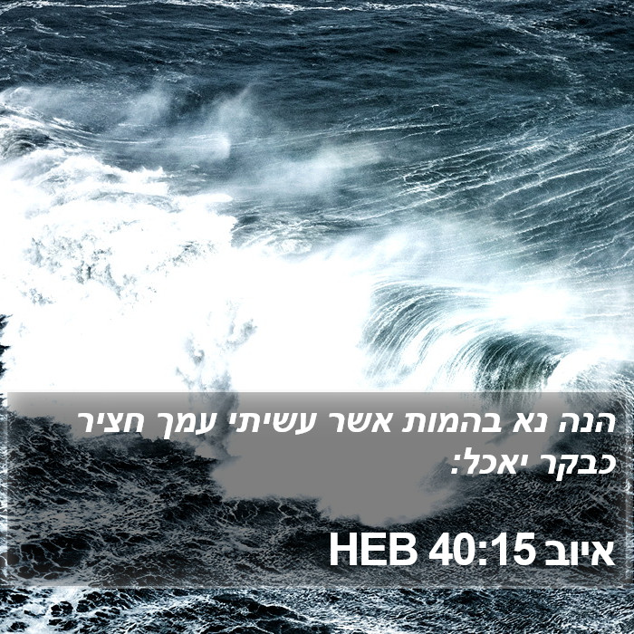 איוב 40:15 HEB Bible Study