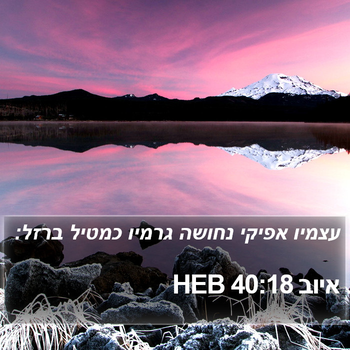 איוב 40:18 HEB Bible Study