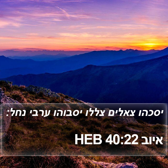 איוב 40:22 HEB Bible Study