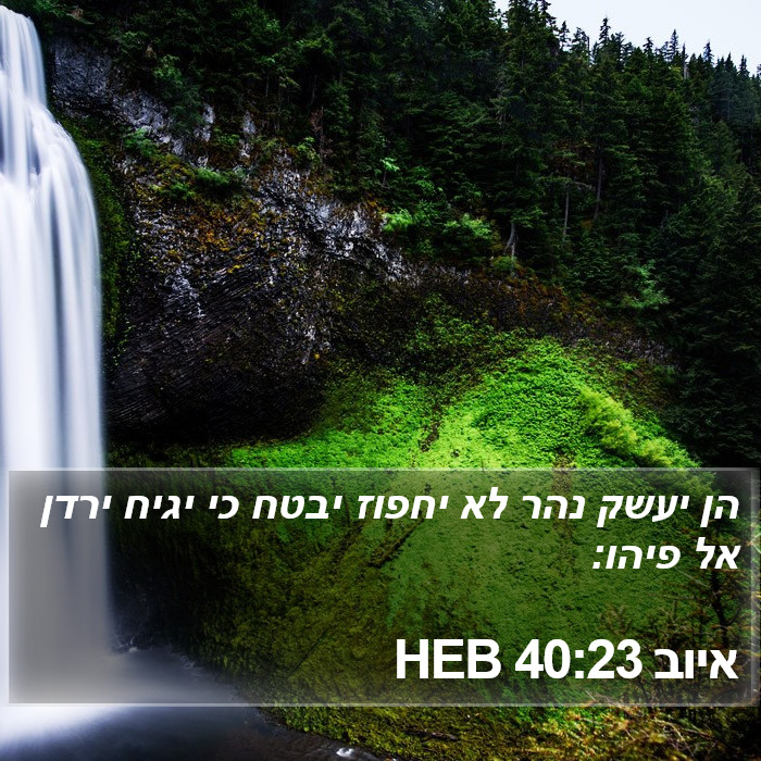 איוב 40:23 HEB Bible Study