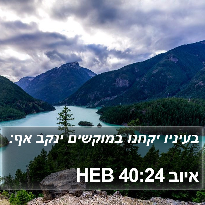 איוב 40:24 HEB Bible Study