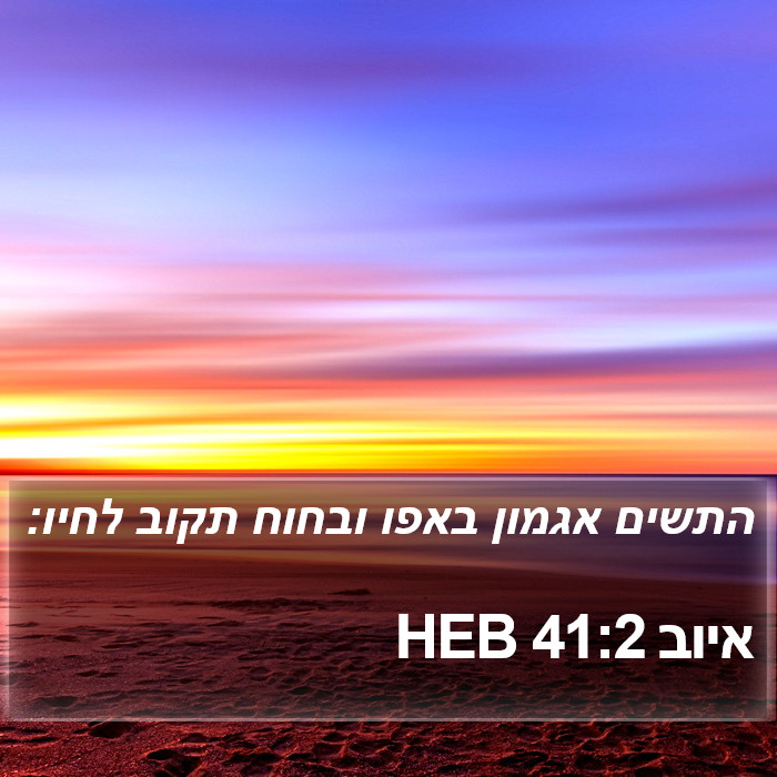 איוב 41:2 HEB Bible Study