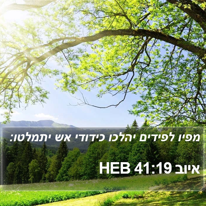 איוב 41:19 HEB Bible Study