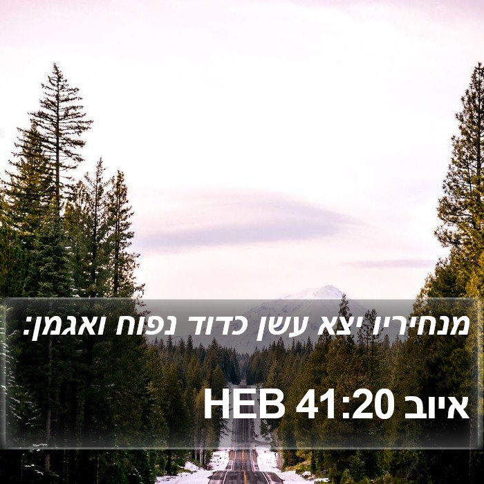 איוב 41:20 HEB Bible Study