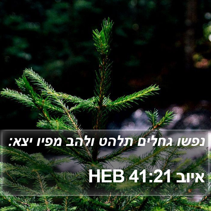 איוב 41:21 HEB Bible Study