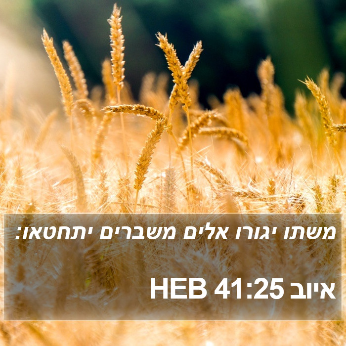 איוב 41:25 HEB Bible Study