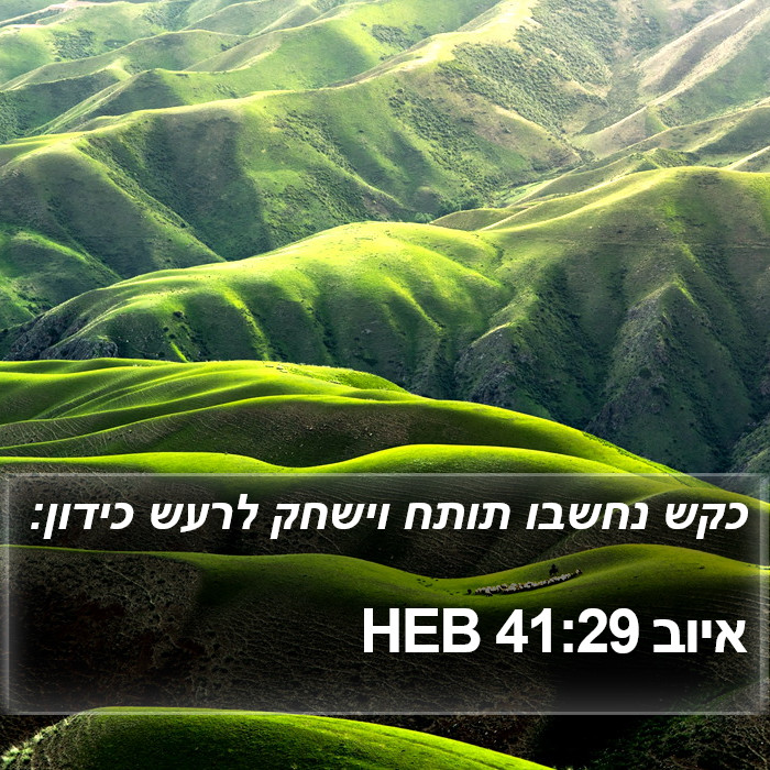 איוב 41:29 HEB Bible Study