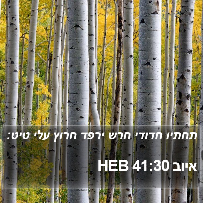 איוב 41:30 HEB Bible Study