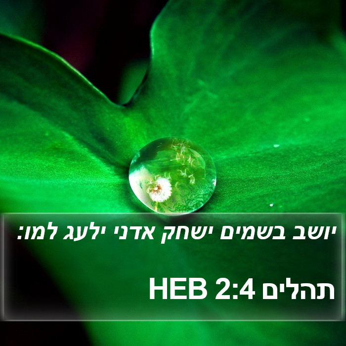 תהלים 2:4 HEB Bible Study