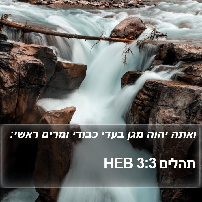 תהלים 3:3 HEB Bible Study