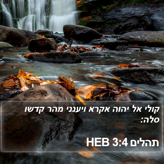 תהלים 3:4 HEB Bible Study