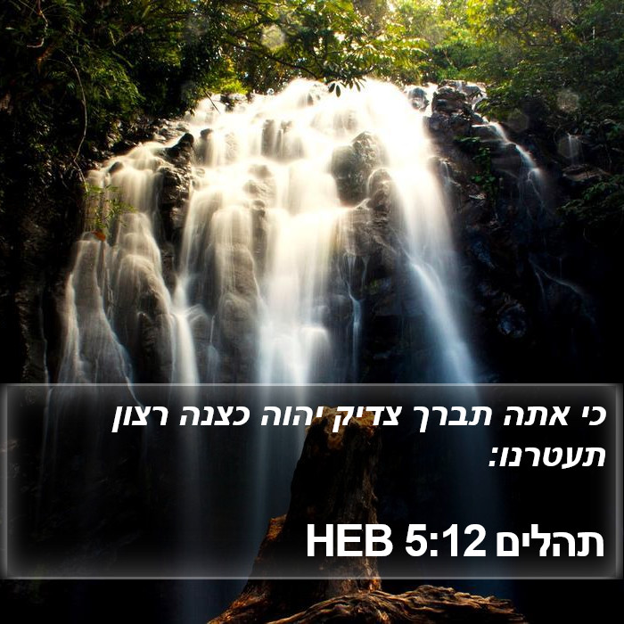תהלים 5:12 HEB Bible Study
