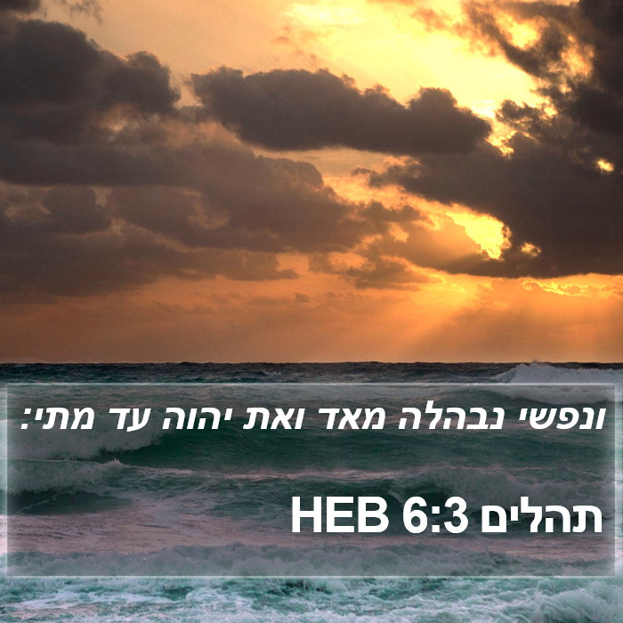 תהלים 6:3 HEB Bible Study