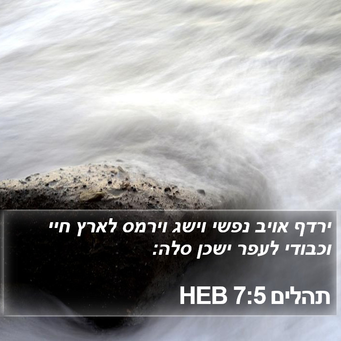 תהלים 7:5 HEB Bible Study