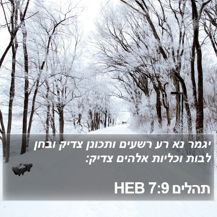 תהלים 7:9 HEB Bible Study