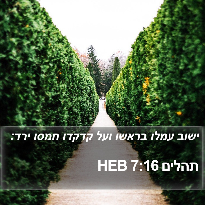 תהלים 7:16 HEB Bible Study