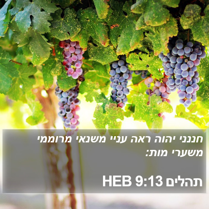 תהלים 9:13 HEB Bible Study