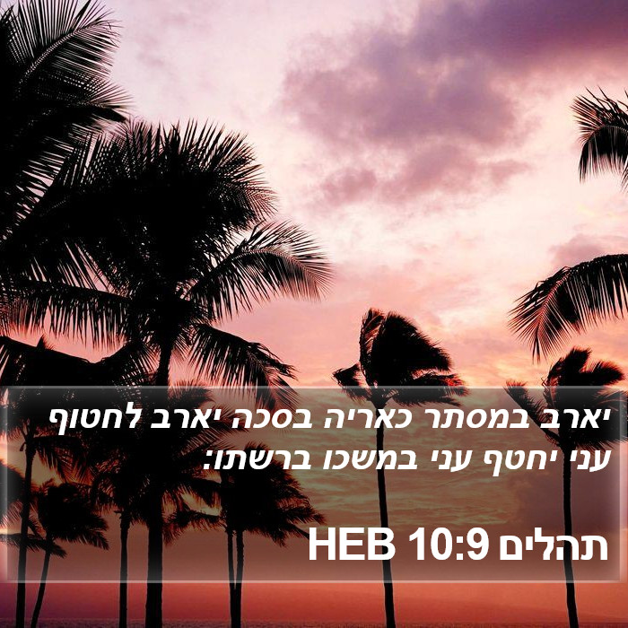 תהלים 10:9 HEB Bible Study