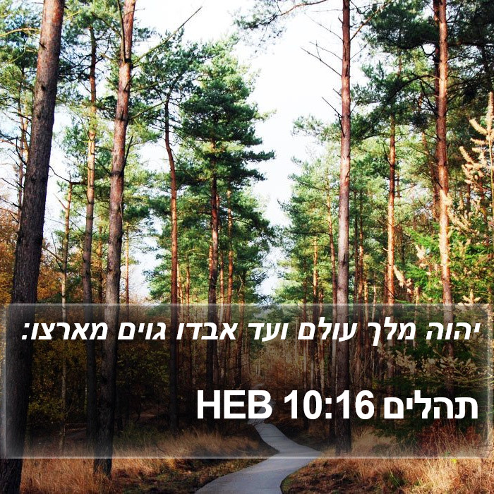 תהלים 10:16 HEB Bible Study