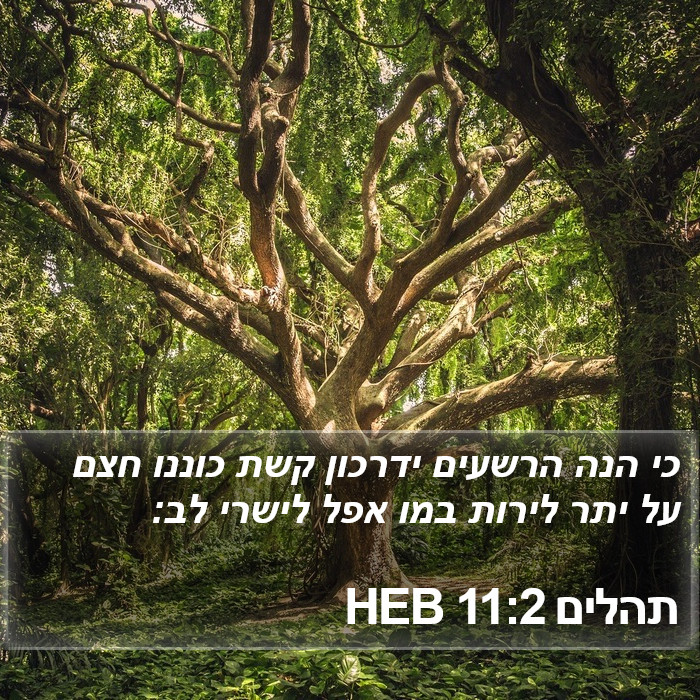 תהלים 11:2 HEB Bible Study