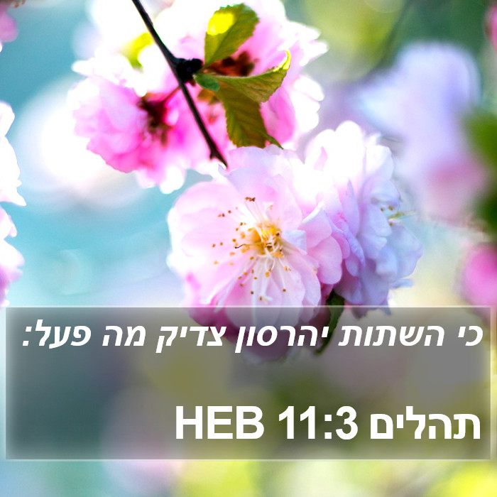 תהלים 11:3 HEB Bible Study
